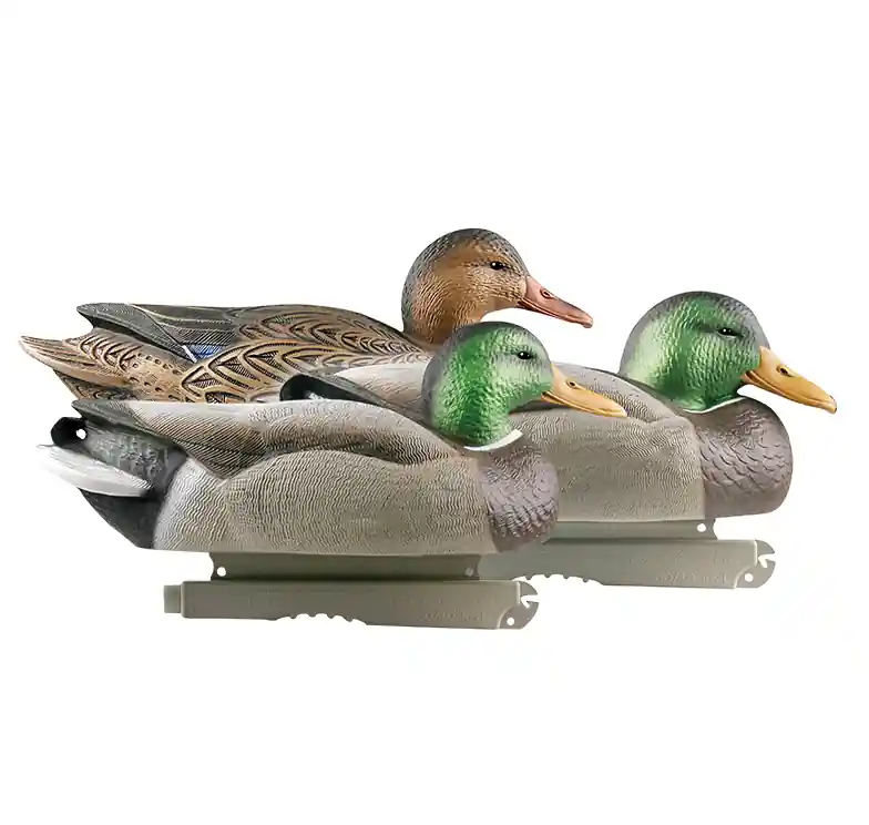 6 Pack GHG Hunter Series Life Size Foam Filled Mallard Drake and Hen Duck Decoys by Avery