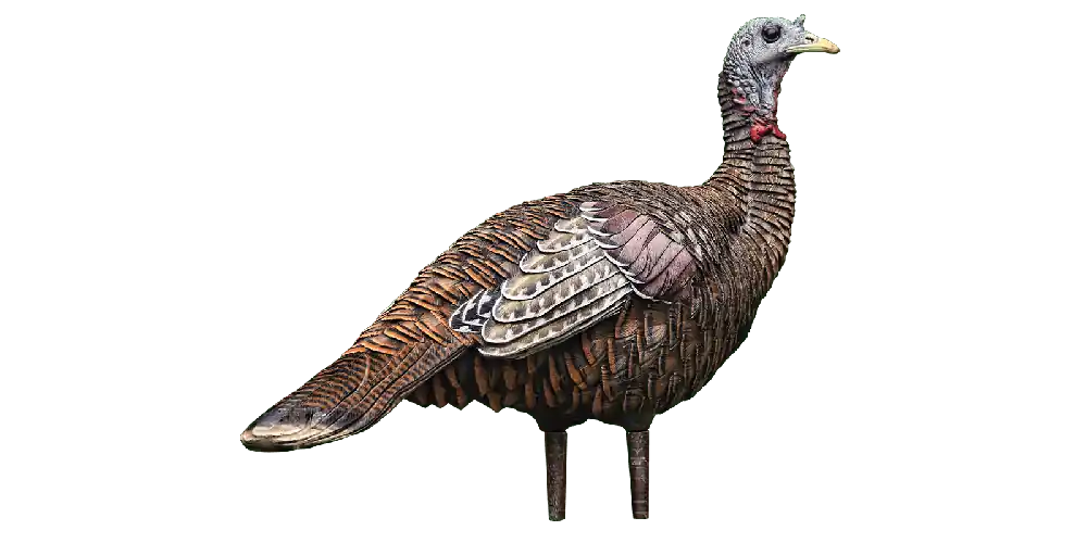 LCD Lifelife Collapsbile Decoy Lookout Hen Turkey Decoy by Avian-X
