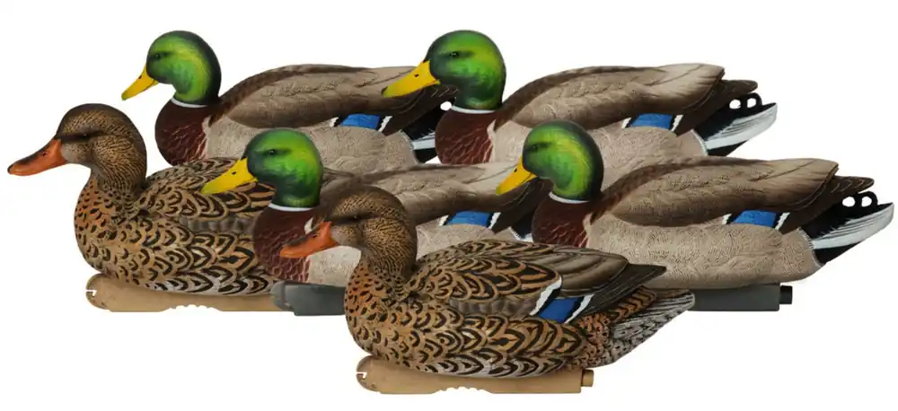 6 Pack GHG Pro-Grade XD Series Active Mallard Decoys by Avery