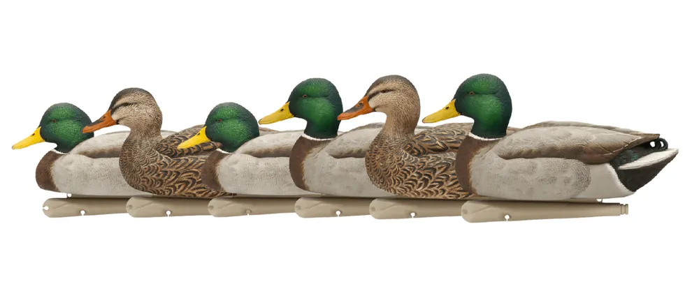 TopFlight Open Water Mallard Decoys 6 Pack by Avian-X