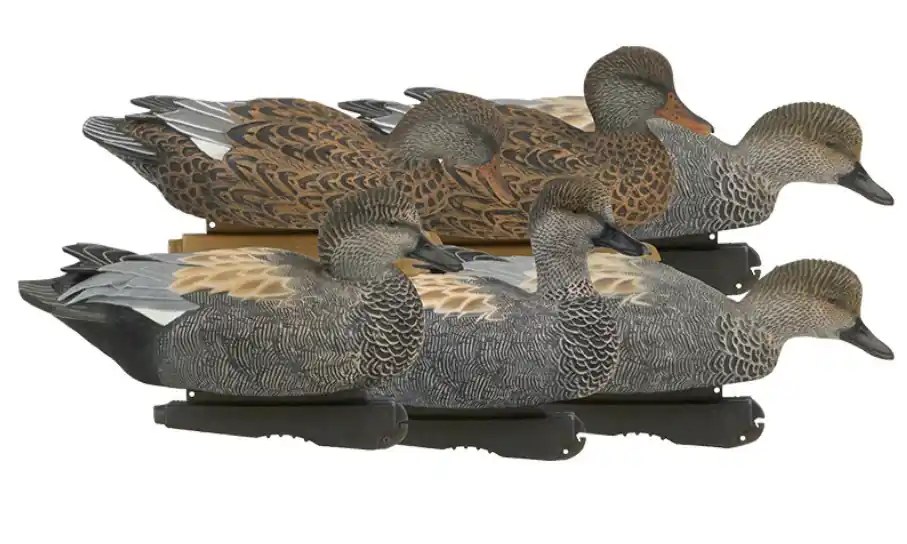 6 Pack GHG Pro Grade Gadwall Duck Decoys by Avery