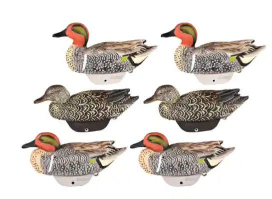 Flexfloat Green Winged Teal Decoys 6 Pack by Lifetime Decoy Company