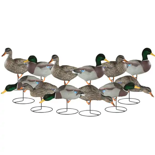 12 Pack X treme Full Body Mallard Static Duck Decoys by Dakota Decoy Company
