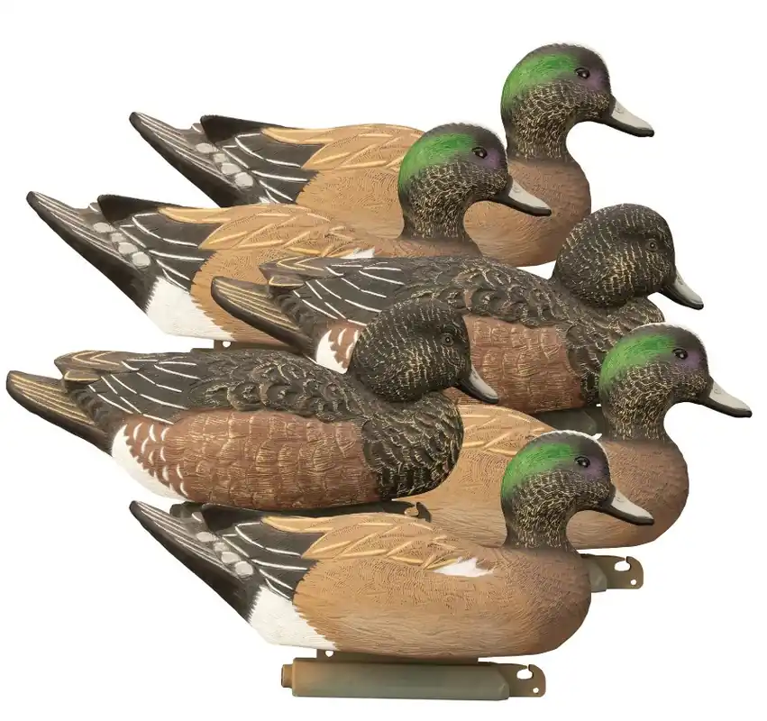 Battleship Widgeon Foam Filled Duck Decoys 6 Pack by Higdon Outdoors