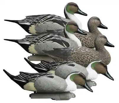 6 Pack Battleship Pintail Foam Filled Duck Decoys by Higdon Outdoors