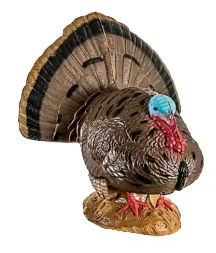 Woodland Strutting Turkey by Rinehart Targets