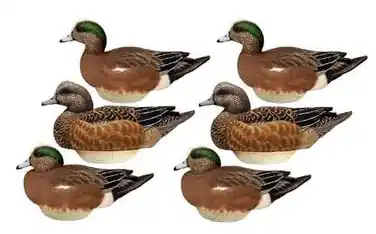 Flexfloat Decoys Wigeon 6 Pack by Lifetime