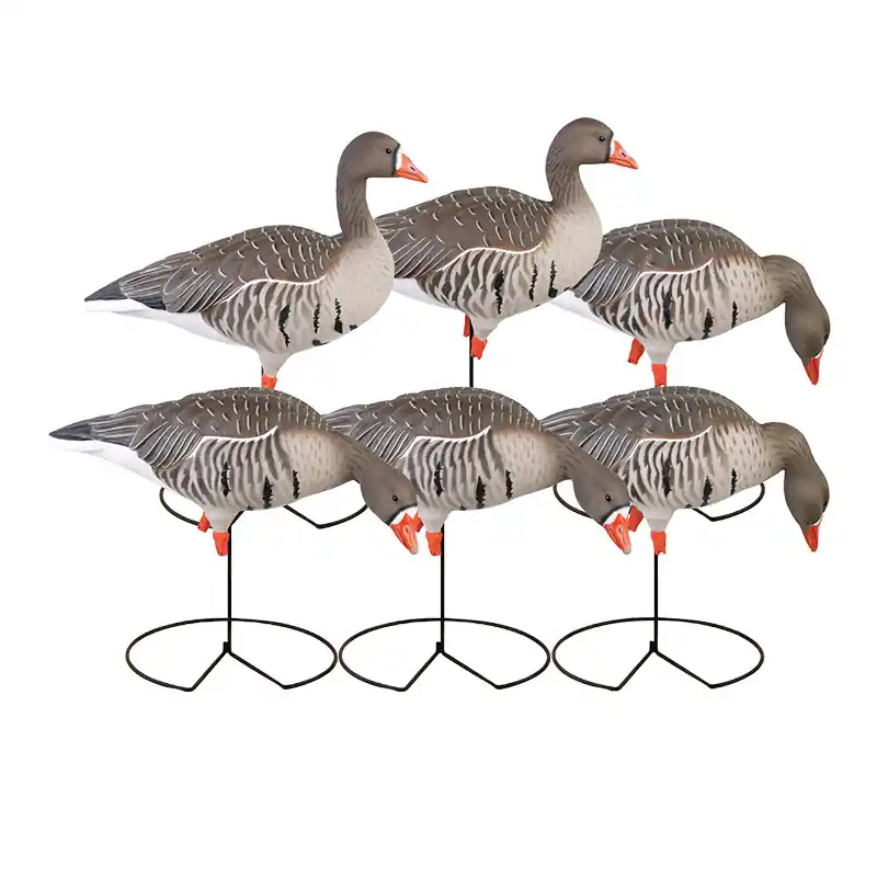 6 Pack GHG Pro Grade Specklebelly Harvester Goose Standing Decoys by Avery