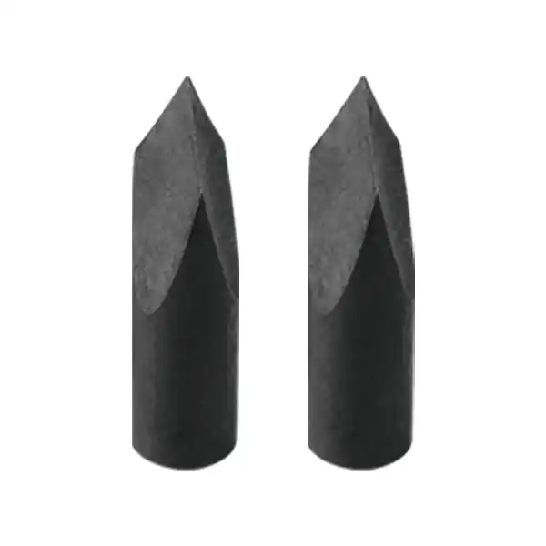 Replacement Gar Tip Points 2 Pack by Muzzy