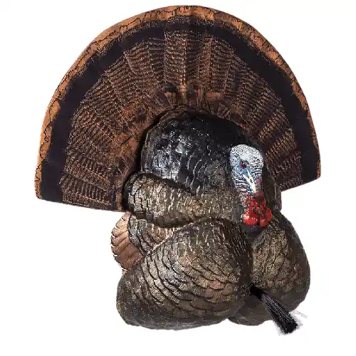 Thunder Creeper Static Strutting Turkey Decoy by Flextone