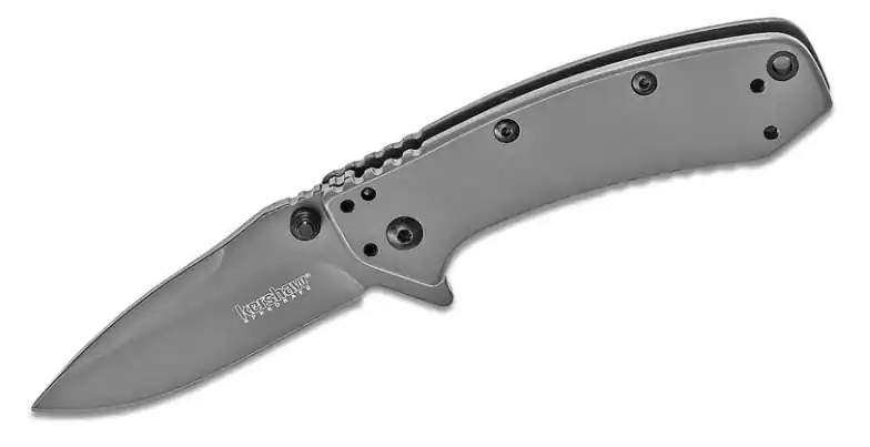 Kershaw Cryo SS Folder Titanium Knife