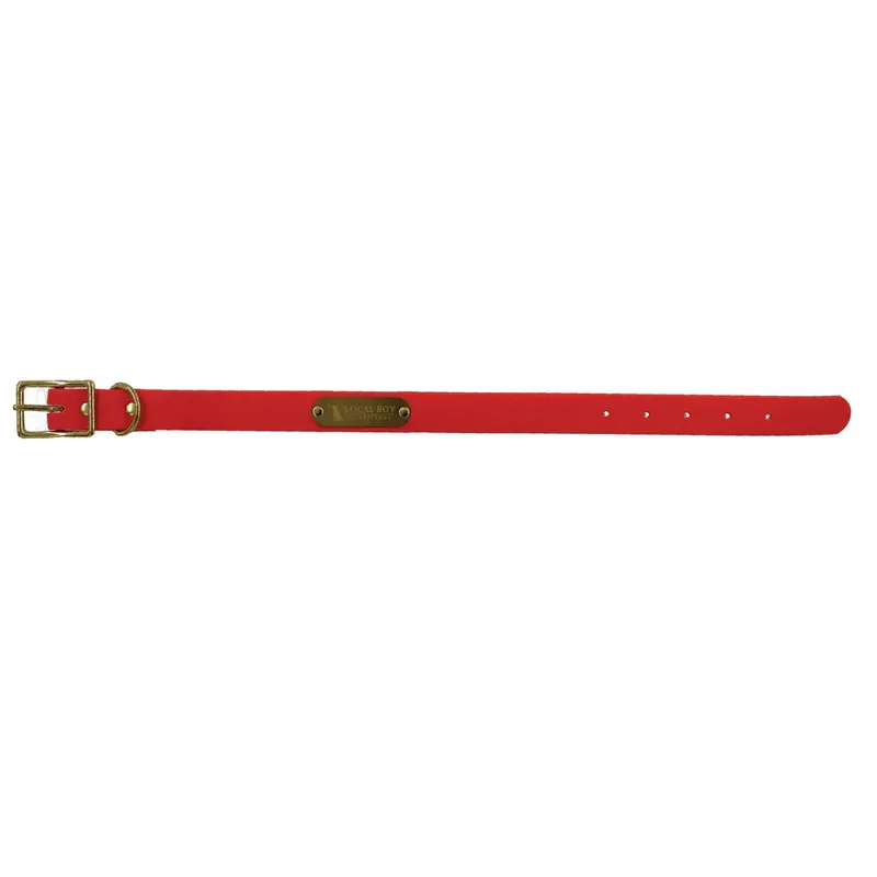 Biothane Dog Collar by Local Boy Outfitters
