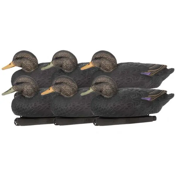 6 Pack Hunter Series Floater Black Duck Decoys by Zink