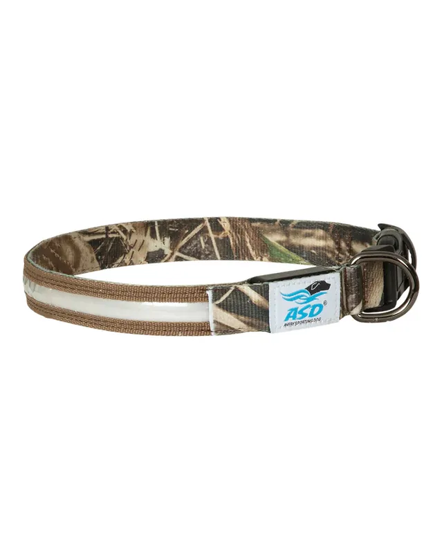 Lighted Dog Collar by Avery