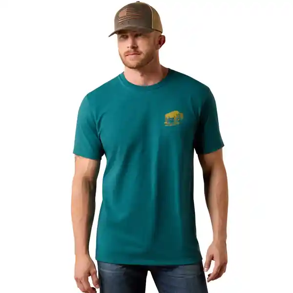 Men‘s Bison Wander Flag Short Sleeve Graphic Tee Shirt by Ariat
