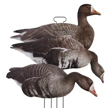 FLATS Specklebelly Standing Goose by Higdon Outdoors