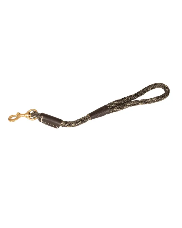 Lead Style Braided Short Snap Dog Leash by Avery