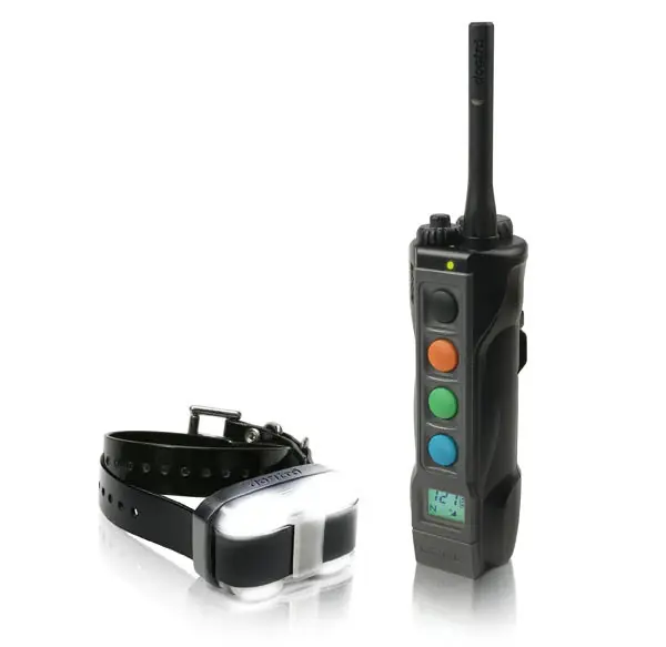 Edge E-Collar & Remote by Dogtra
