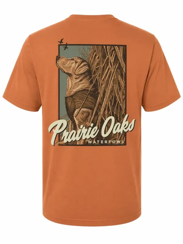 Yellow Lab In Blind by Prairie Oaks