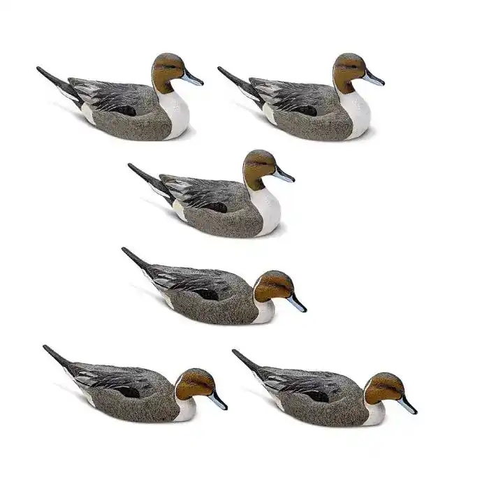 6 Pack Mainline Series Pintail Static Decoys by Rig Em Right