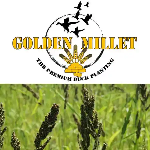 50lb Golden Millet by Stratton Seed Company