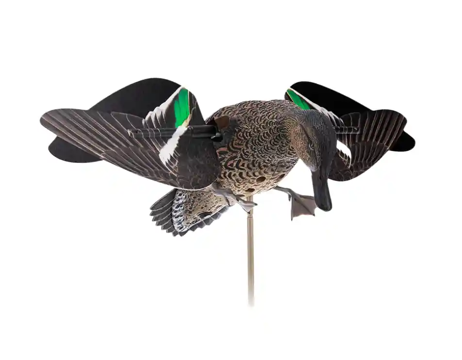 Powerflight Hen Teal Decoy by Avian X