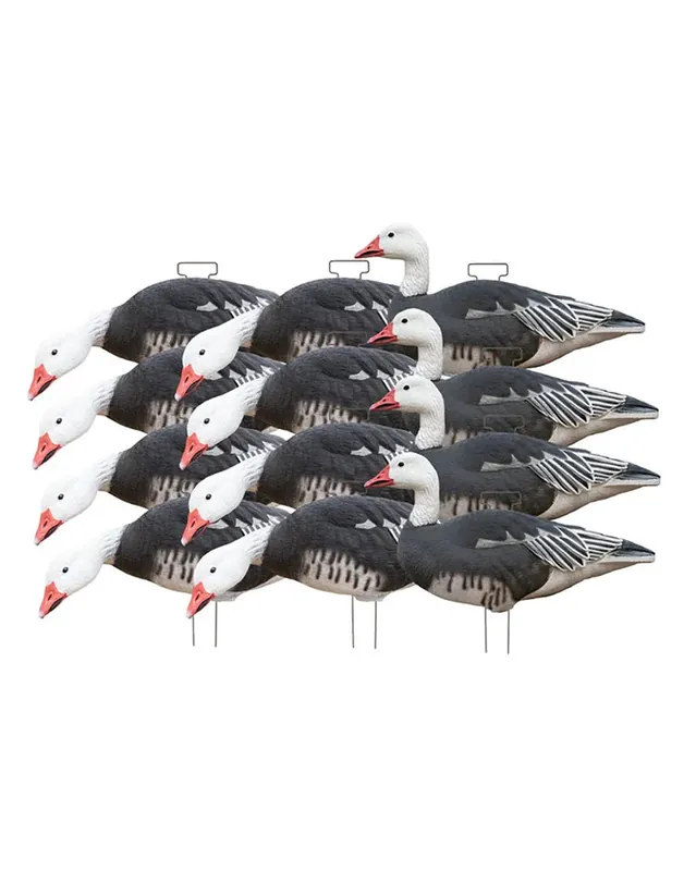 12 Pack GHG Pro Grade Blue Goose Silhouette Decoys with Stakes by Avery