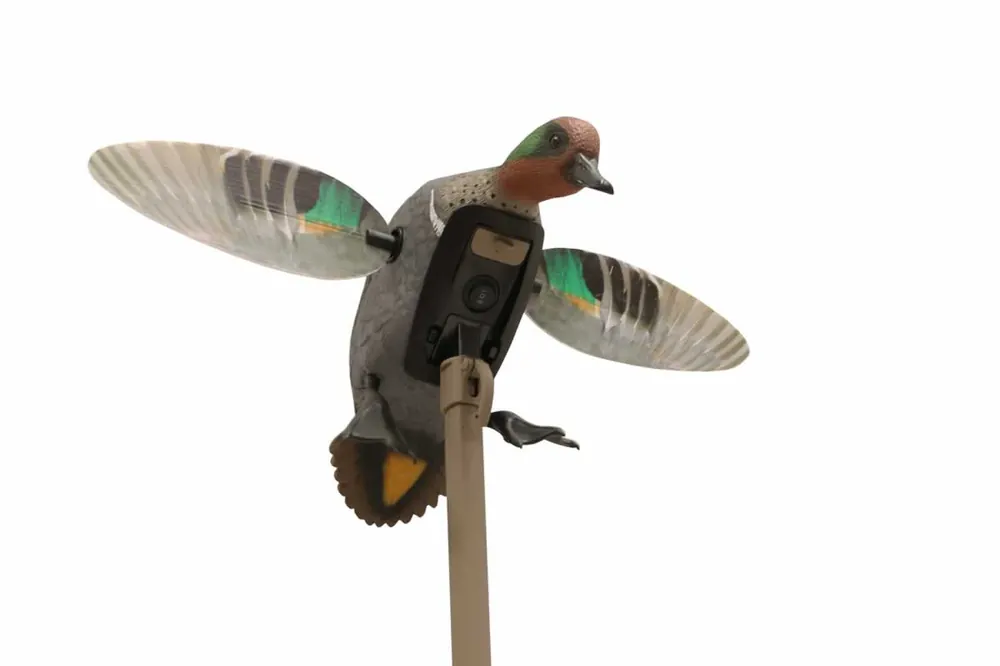 Elite Series Remote Ready Green Wing Teal Duck Motion Decoy by Mojo Outdoors