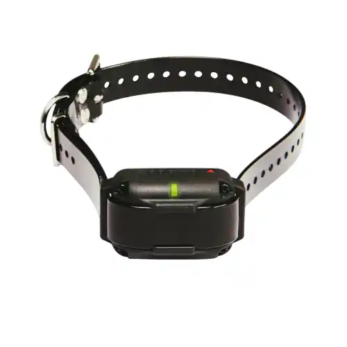 Edge RT Additional Receiver by Dogtra