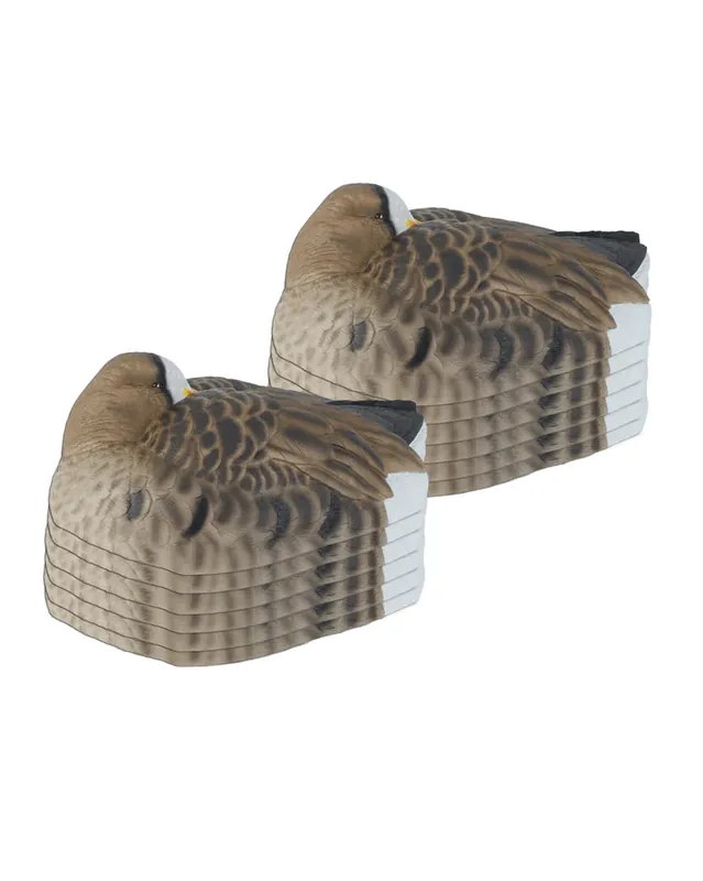 12 Pack GHG Pro Flex Specklebelly Sleeper Duck Decoy Shells by Avery