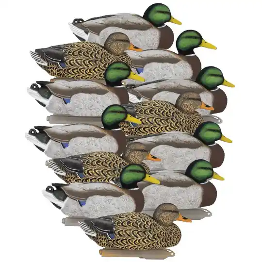 12 Pack Legacy Magnum Foam Filled Mallard Flocked Head Duck Decoys by Higdon Outdoors