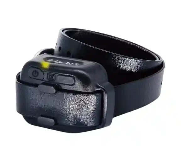Smart NoBark Waterproof Dog Collar by Dogtra