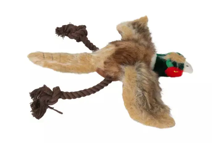 Large Dog‘s Best Friend Pheasant Duck Plush Toy by Avery