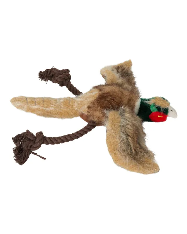 Dog‘s Best Friend Pheasant Plush Dog Toy by Avery