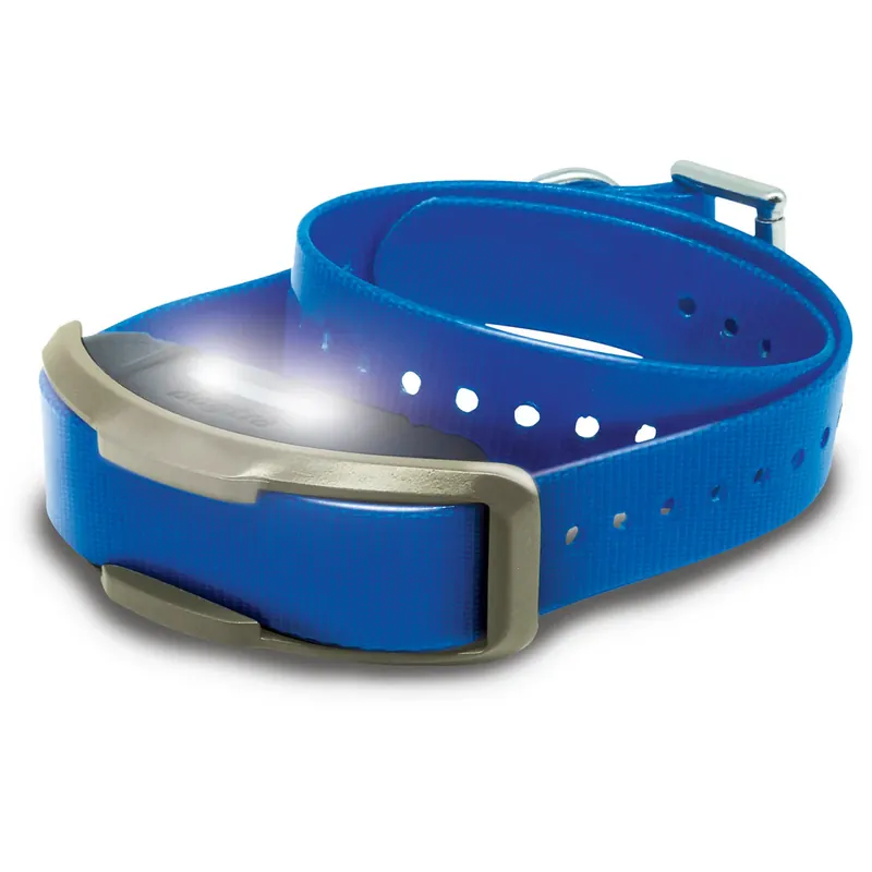 1900X Additional Receiver in Blue by Dogtra