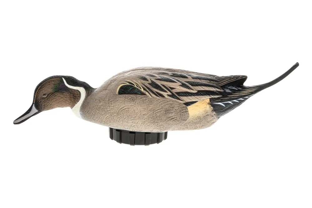 Power Shaker Motion Decoy Pintail Surface Feeder by Avian X