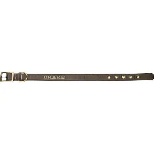 Adjustable Webbed Dog Collar by Drake