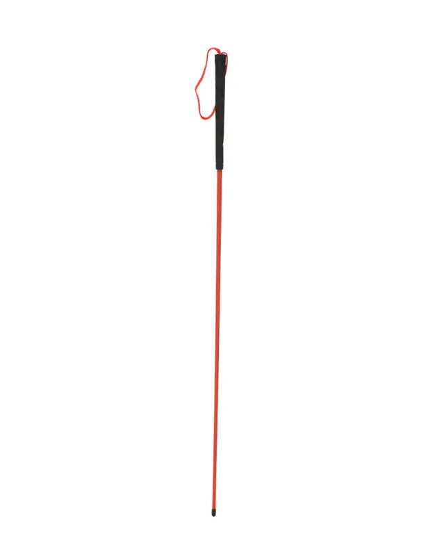 Blaze Orange Trainer‘s Heeling Stick by Avery