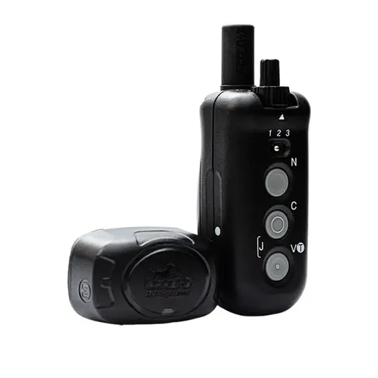 Direct Observe Guide Director 700 By D.T Systems