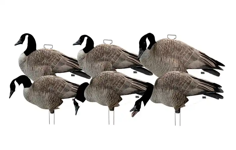 6 Pack GHG Pro Grade Silhouette Canadian Goose Decoys With Stakes by Avery