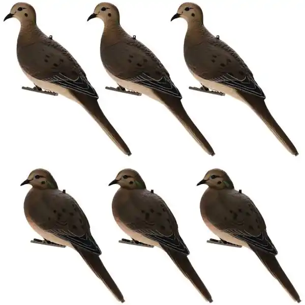 6 Pack AXP Full Body Dove Decoys by Avian X