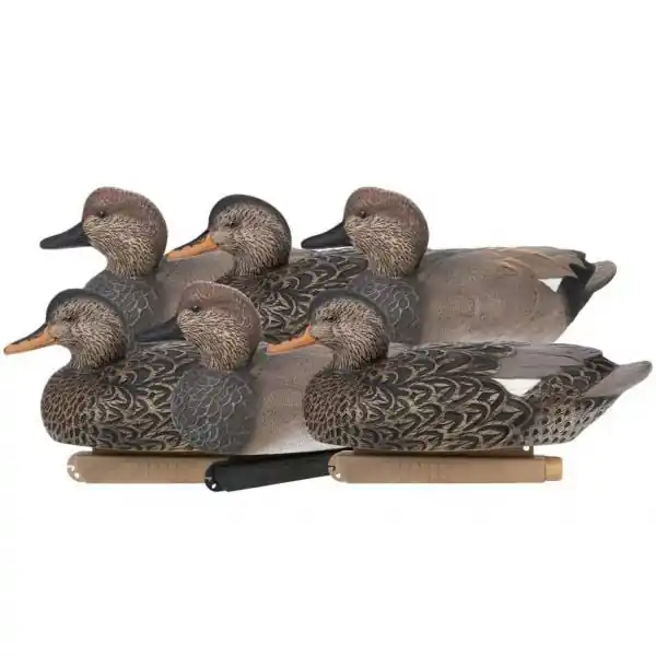 6 Pack Floater Gadwall Duck Decoys by Zink