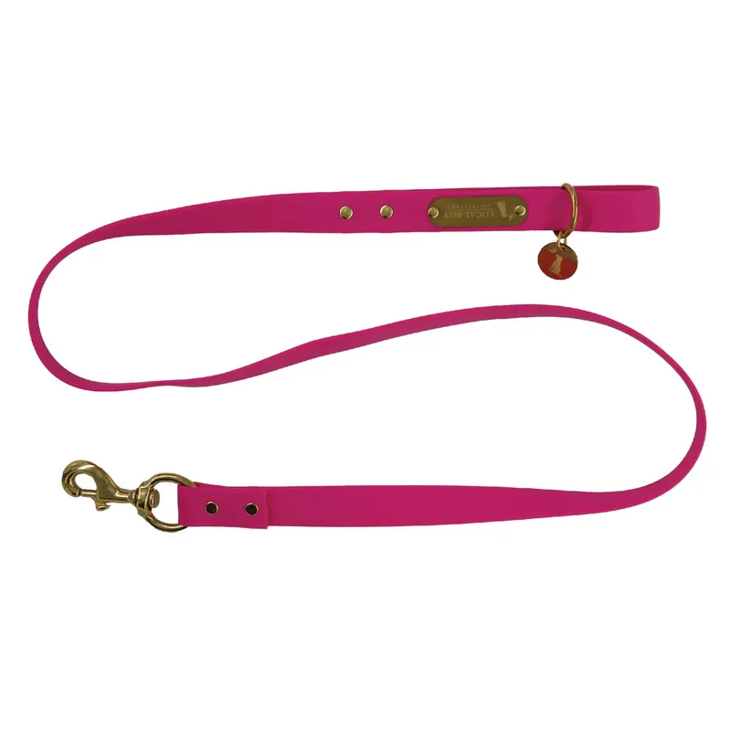 Biothane Dog Leash by Local Boy Outfitters