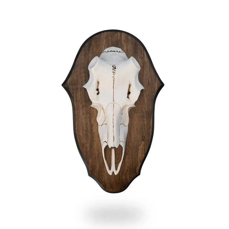 Black Forest Antler Mount Kit by Illusion Hunting System