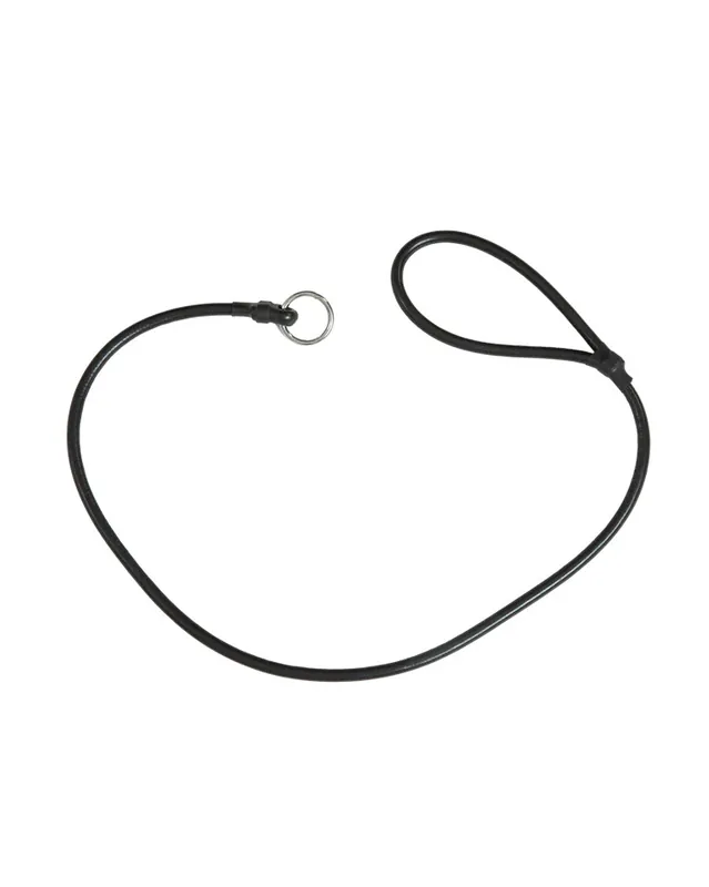 Lead Style Poly Slip Dog leash by Avery