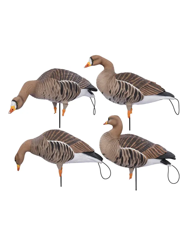 Pro-Flex Full Body Specklebelly Harvester Decoy by Banded