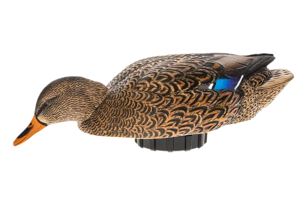 Power Shaker Mallard Hen Surface Feeder Motion Decoy by Avian X