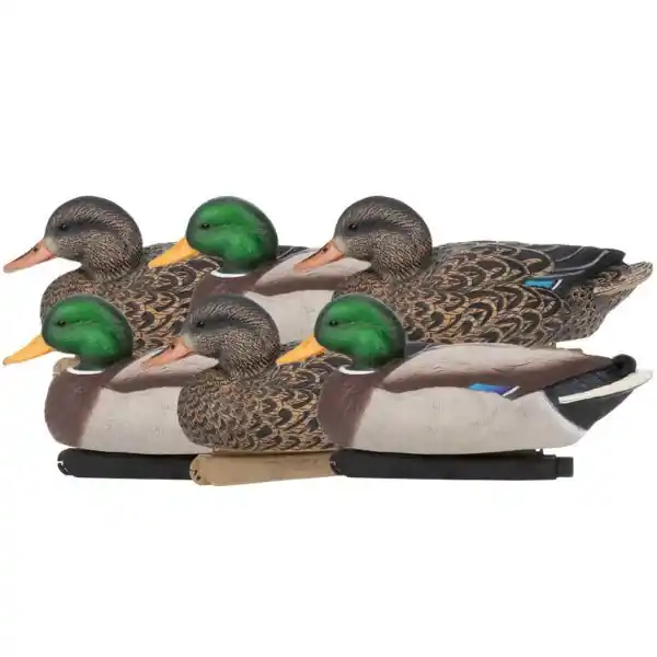 6 Pack Floater Mallard Duck Decoys by Zink