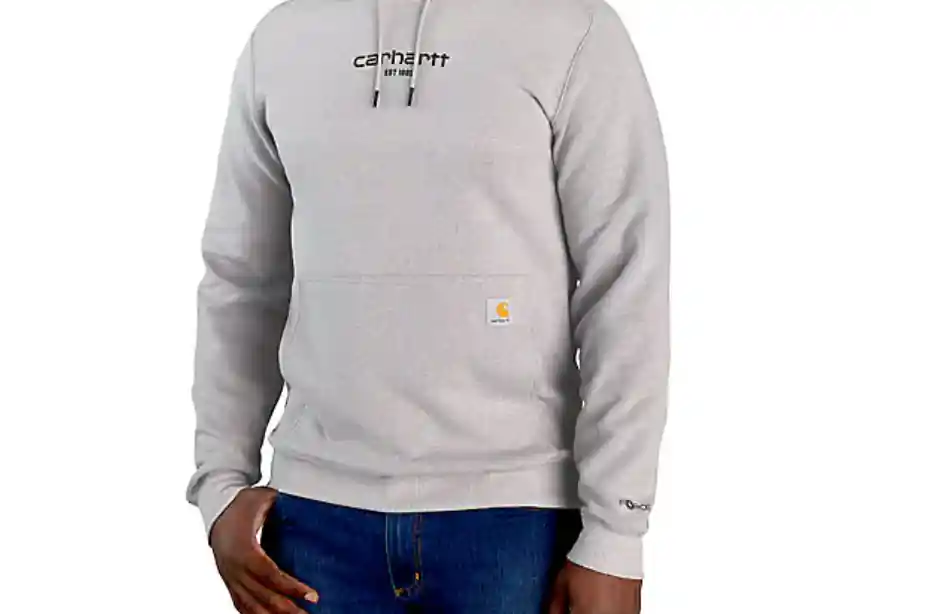 Force Relaxed Fit Lightweight Graphic Hoody by Carhartt