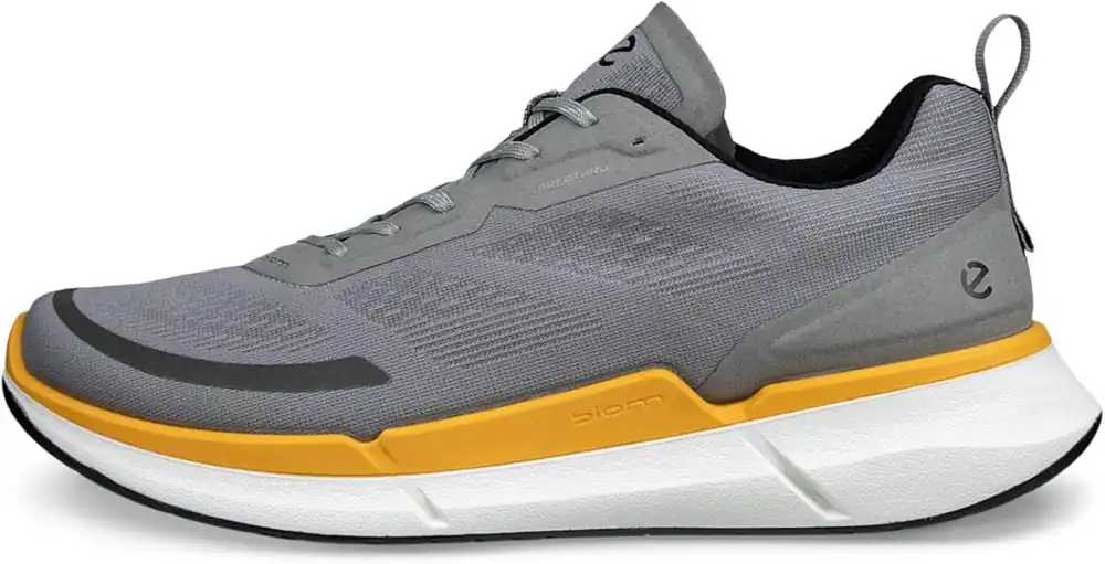 Men‘s Biom 2.2 Breathru - Wild Dove/Fanta - 43